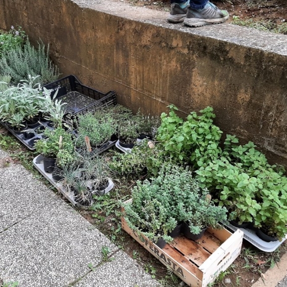 Samo še otroci pridejo